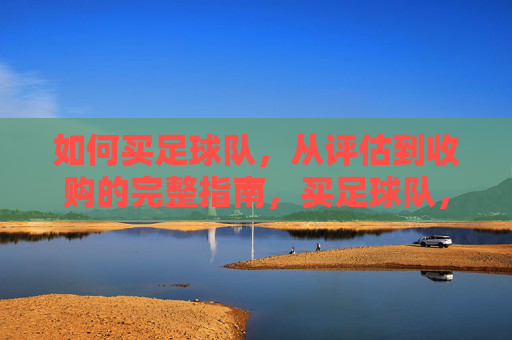 如何买足球队，从评估到收购的完整指南，买足球队，从评估到收购的完整指南