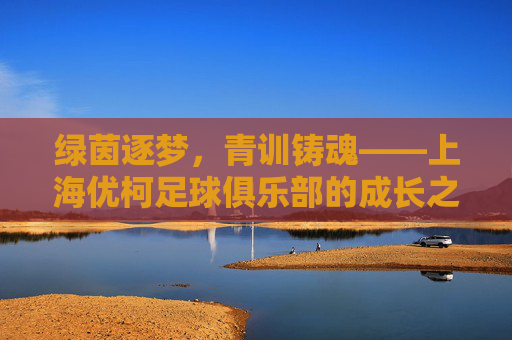 绿茵逐梦，青训铸魂——上海优柯足球俱乐部的成长之路，绿茵逐梦，青训铸魂——上海优柯足球俱乐部的成长之路