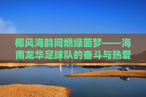 椰风海韵间燃绿茵梦——海南龙华足球队的奋斗与热爱，椰风海韵燃绿茵梦，海南龙华足球队的奋斗与热爱