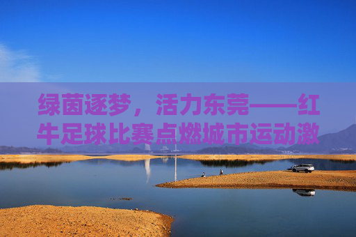 绿茵逐梦,活力东莞——红牛足球比赛点燃城市运动激情,绿茵逐梦,红牛足球点燃东莞活力