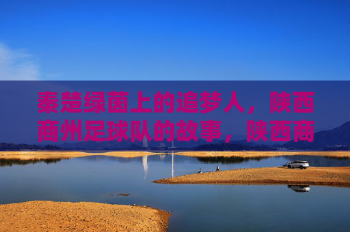 秦楚绿茵上的追梦人,陕西商州足球队的故事,陕西商州足球队,秦楚绿茵上的追梦故事