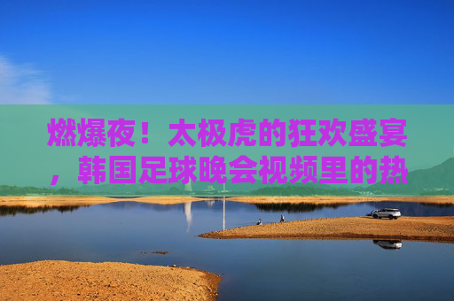 燃爆夜!太极虎的狂欢盛宴,韩国足球晚会视频里的热血与荣耀,太极虎燃爆狂欢夜,韩国足球晚会的热血与荣耀