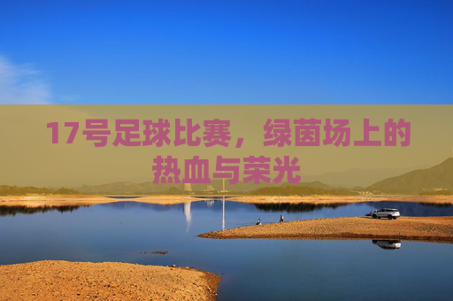 17号足球比赛,绿茵场上的热血与荣光