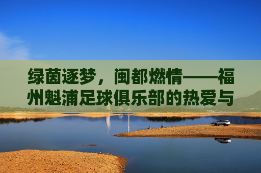 绿茵逐梦,闽都燃情——福州魁浦足球俱乐部的热爱与坚守