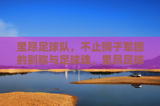里昂足球队，不止狮子军团的别称与足球魂，里昂足球队，不止狮子军团的足球魂