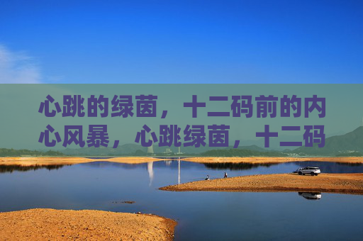 心跳的绿茵，十二码前的内心风暴，心跳绿茵，十二码内心风暴