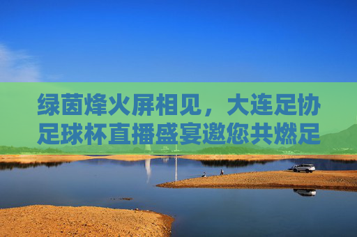 绿茵烽火屏相见，大连足协足球杯直播盛宴邀您共燃足球激情，绿茵烽火，大连足协足球杯直播邀您共燃激情