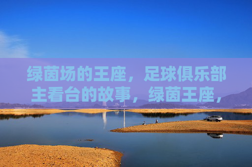 绿茵场的王座,足球俱乐部主看台的故事,绿茵王座,主看台上的俱乐部史诗