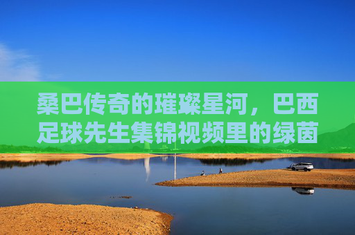 桑巴传奇的璀璨星河,巴西足球先生集锦视频里的绿茵诗篇,巴西足球先生,桑巴传奇的璀璨绿茵诗篇