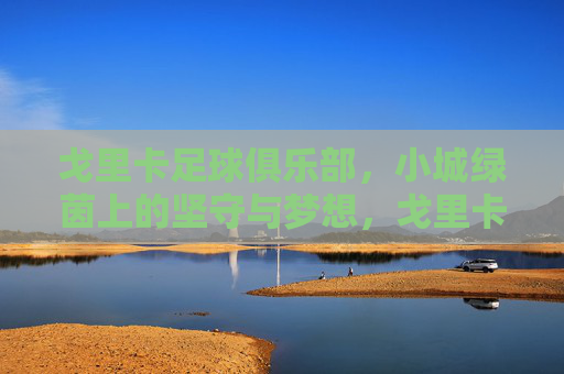戈里卡足球俱乐部,小城绿茵上的坚守与梦想,戈里卡,小城绿茵上的坚守与梦想