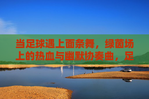 当足球遇上面条舞,绿茵场上的热血与幽默协奏曲,足球遇上面条舞,绿茵场上的热血幽默协奏曲