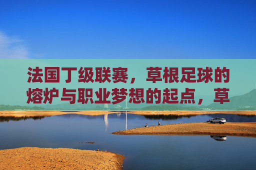 法国丁级联赛,草根足球的熔炉与职业梦想的起点,草根熔炉,梦想起点,法国丁级联赛