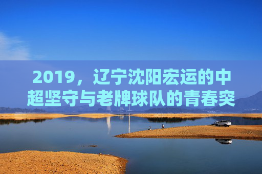 2019，辽宁沈阳宏运的中超坚守与老牌球队的青春突围，2019辽宁沈阳宏运，老牌球队的中超坚守与青春突围