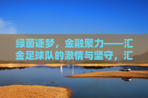 绿茵逐梦,金融聚力——汇金足球队的激情与坚守,汇金足球队,绿茵逐梦,金融聚力