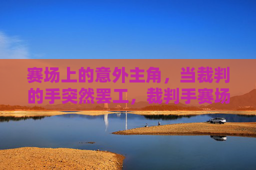 赛场上的意外主角,当裁判的手突然罢工,裁判手赛场罢工,意外成主角