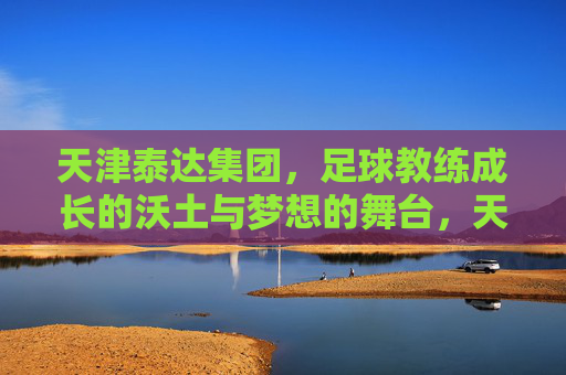 天津泰达集团，足球教练成长的沃土与梦想的舞台，天津泰达集团，足球教练成长的沃土与梦想舞台