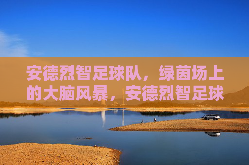 安德烈智足球队,绿茵场上的大脑风暴,安德烈智足球队,绿茵大脑风暴