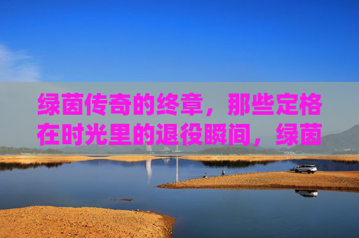 绿茵传奇的终章，那些定格在时光里的退役瞬间，绿茵传奇终章，退役瞬间的时光定格