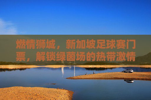 燃情狮城,新加坡足球赛门票,解锁绿茵场的热带激情,狮城足球赛门票,燃情绿茵热带激情