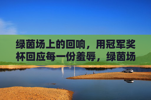 绿茵场上的回响，用冠军奖杯回应每一份羞辱，绿茵场回响，冠军奖杯回应每一份羞辱