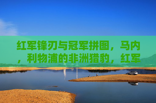 红军锋刃与冠军拼图,马内,利物浦的非洲猎豹,红军锋刃马内,利物浦的非洲猎豹与冠军拼图