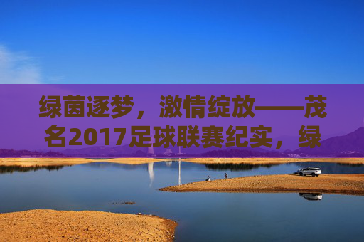 绿茵逐梦,激情绽放——茂名2017足球联赛纪实,绿茵逐梦,激情绽放——茂名2017足球联赛纪实