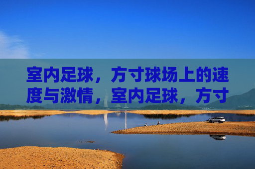 室内足球，方寸球场上的速度与激情，室内足球，方寸球场上的速度与激情