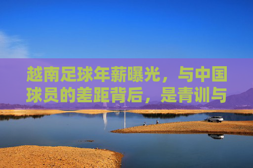 越南足球年薪曝光，与中国球员的差距背后，是青训与体系的较量，越南足球与中国球员差距背后，青训与体系的较量