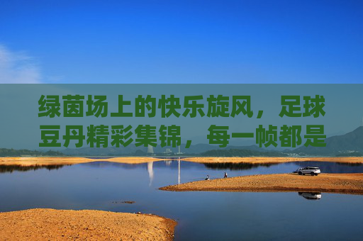 绿茵场上的快乐旋风,足球豆丹精彩集锦,每一帧都是热爱!足球豆丹的快乐旋风,绿茵场热爱集锦