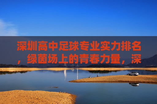 深圳高中足球专业实力排名，绿茵场上的青春力量，深圳高中足球专业实力排名，绿茵场上的青春力量