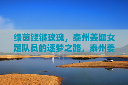 绿茵铿锵玫瑰，泰州姜堰女足队员的逐梦之路，泰州姜堰女足铿锵玫瑰逐梦之路