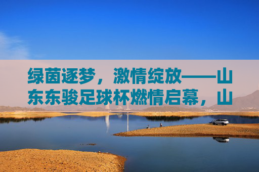 绿茵逐梦，激情绽放——山东东骏足球杯燃情启幕，山东东骏足球杯燃情启幕