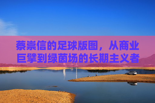 蔡崇信的足球版图,从商业巨擘到绿茵场的长期主义者,蔡崇信的足球版图,商业巨擘的长期主义布局