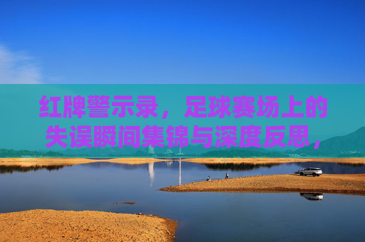 红牌警示录,足球赛场上的失误瞬间集锦与深度反思,红牌警示录,足球赛场失误瞬间与深度反思
