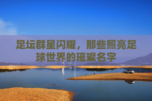 足坛群星闪耀,那些照亮足球世界的璀璨名字