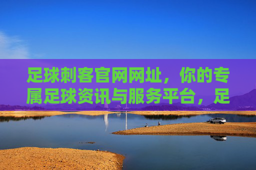 足球刺客官网网址，你的专属足球资讯与服务平台，足球刺客官网，你的专属足球资讯服务平台
