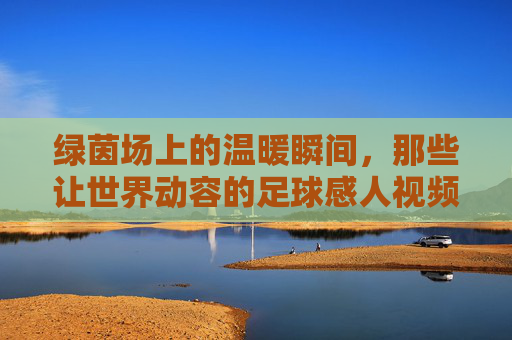 绿茵场上的温暖瞬间,那些让世界动容的足球感人视频,绿茵温情,那些让世界动容的足球感人瞬间