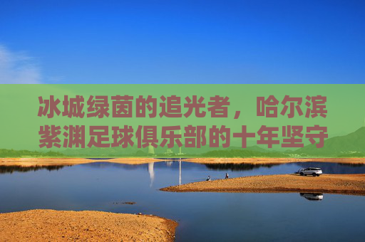 冰城绿茵的追光者,哈尔滨紫渊足球俱乐部的十年坚守,冰城绿茵追光者,哈尔滨紫渊十年坚守