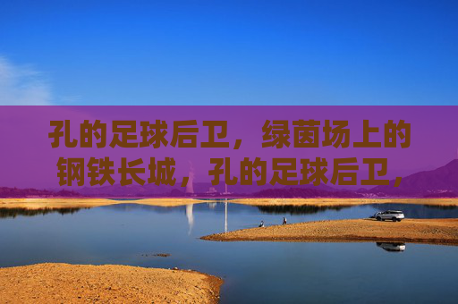 孔的足球后卫,绿茵场上的钢铁长城,孔的足球后卫,绿茵钢铁长城
