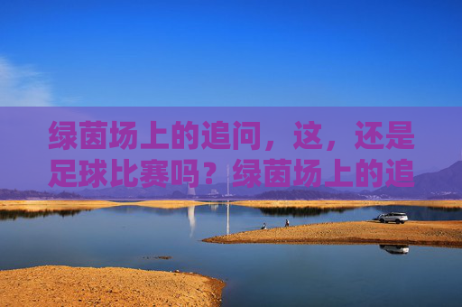 绿茵场上的追问，这，还是足球比赛吗？绿茵场上的追问，这还是足球比赛吗？