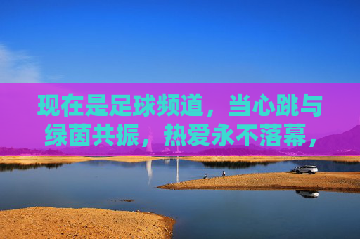现在是足球频道，当心跳与绿茵共振，热爱永不落幕，心跳与绿茵共振，热爱永不落幕