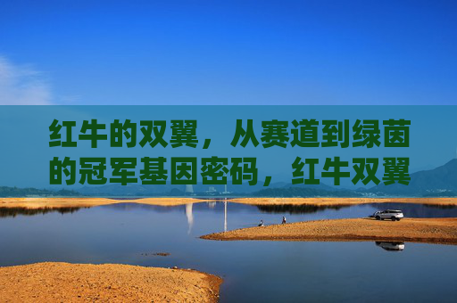 红牛的双翼,从赛道到绿茵的冠军基因密码,红牛双翼,赛道绿茵的冠军基因密码