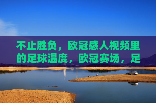不止胜负，欧冠感人视频里的足球温度，欧冠赛场，足球的温度不止胜负