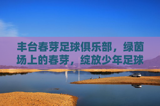 丰台春芽足球俱乐部,绿茵场上的春芽,绽放少年足球梦,绿茵春芽绽少年足球梦