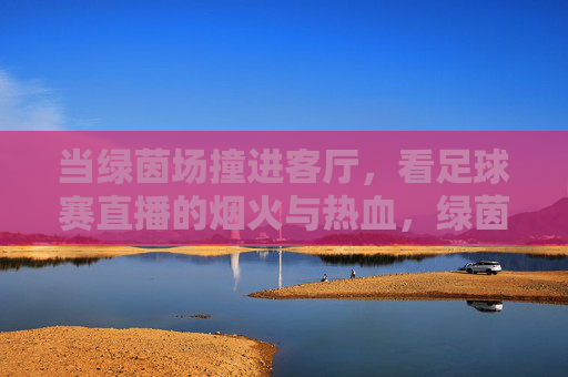 当绿茵场撞进客厅，看足球赛直播的烟火与热血，绿茵场撞进客厅，直播烟火与热血