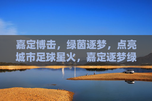 嘉定博击,绿茵逐梦,点亮城市足球星火,嘉定逐梦绿茵,点亮城市足球星火
