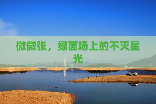 微微张,绿茵场上的不灭星光