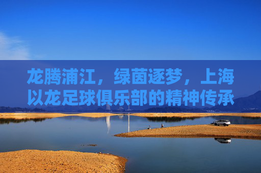 龙腾浦江,绿茵逐梦,上海以龙足球俱乐部的精神传承与崛起之路,龙腾浦江,上海以龙足球的精神传承与崛起