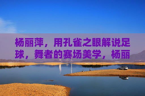 杨丽萍,用孔雀之眼解说足球,舞者的赛场美学,杨丽萍的孔雀之眼,足球赛场的舞者美学