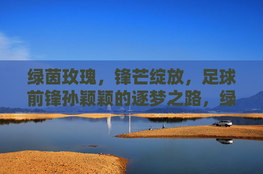 绿茵玫瑰，锋芒绽放，足球前锋孙颖颖的逐梦之路，绿茵玫瑰绽锋芒，孙颖颖的逐梦之路